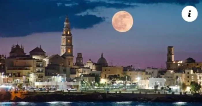 Apartamento Casa Belvedere